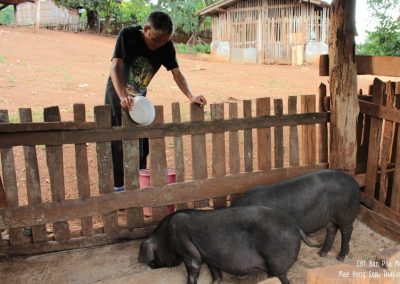 ban pha mon, ban pha mon village, pha mon village, ban pha mon mae hong son, ban phamon, ban pha mon mapha, ban huai pha mon, huai phamon, phamon village