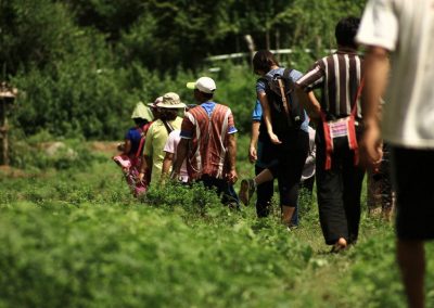 ban pha mon, ban pha mon village, pha mon village, ban pha mon mae hong son, ban phamon, ban pha mon mapha, ban huai pha mon, huai phamon, phamon village