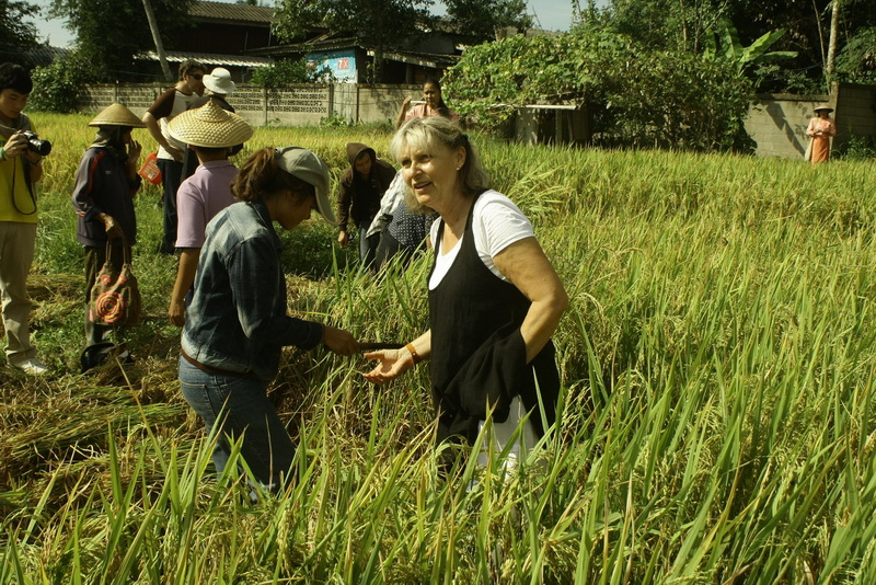 ban muang pon, ban muang pon village, muang pon village, ban muang pon mae hong son, ban muangpon, ban muang pon khun yuam, baan muang pon