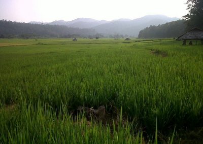 ban muang pon cultural day, ban muang pon heritage tour, muang pon village discovery, muang pon village life, ban muang pon traditions revealed, ban muang pon local wisdom, ban muang pon experience tour, ban muang pon cultural journey