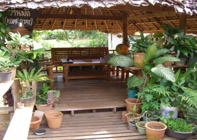 ban mae lana, 2-day trek at ban mae lana , ban mae lana 2-day hiking tour, 2 days in ban mae lana & lod cave, ban mae lana 2-day trekking tour, ban mae lana 2-day hike, 2 days trekking ban mae lana, 2 days trek lod cave, ban mae lana 2-day trek