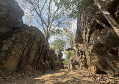 op luang national park, op luang, ob luang, ob luang national park