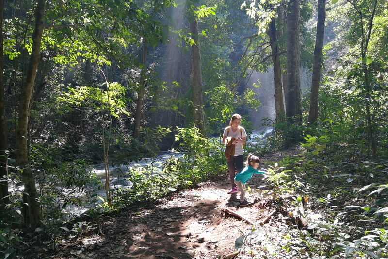 pha dok siew nature trail, doi inthanon national park, inthanon national park, doi Inthanon, inthanon