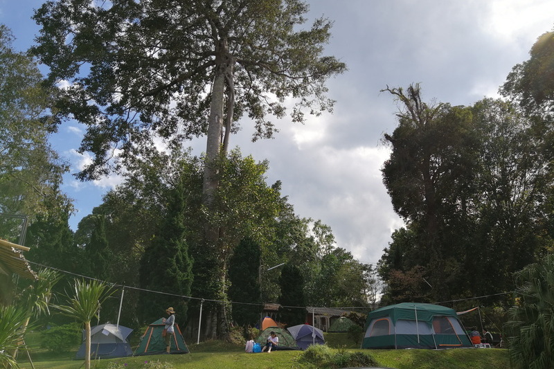 doi inthanon national park camping, doi inthanon national park, inthanon national park, doi Inthanon, inthanon