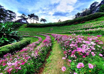 huai nam dang national park, huay nam dang national park, huai nam dang, huay nam dang, huai nam dung, huay nam dung