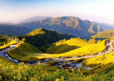 thung bua tong fields at doi mae u kho, bua tong fields doi mae u kho, bua tong fields at doi mae u kho, mexican sunflowers at doi mae u kho, doi mae u kho mexican sunflowers, doi mae u kho, doi mae u kho, thung dok bua tong at doi mae u-kho