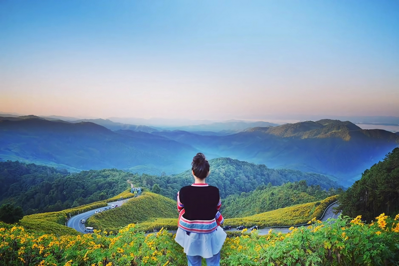 thung bua tong fields at doi mae u kho, bua tong fields doi mae u kho, bua tong fields at doi mae u kho, mexican sunflowers at doi mae u kho, doi mae u kho mexican sunflowers, doi mae u kho, doi mae u kho, thung dok bua tong at doi mae u-kho