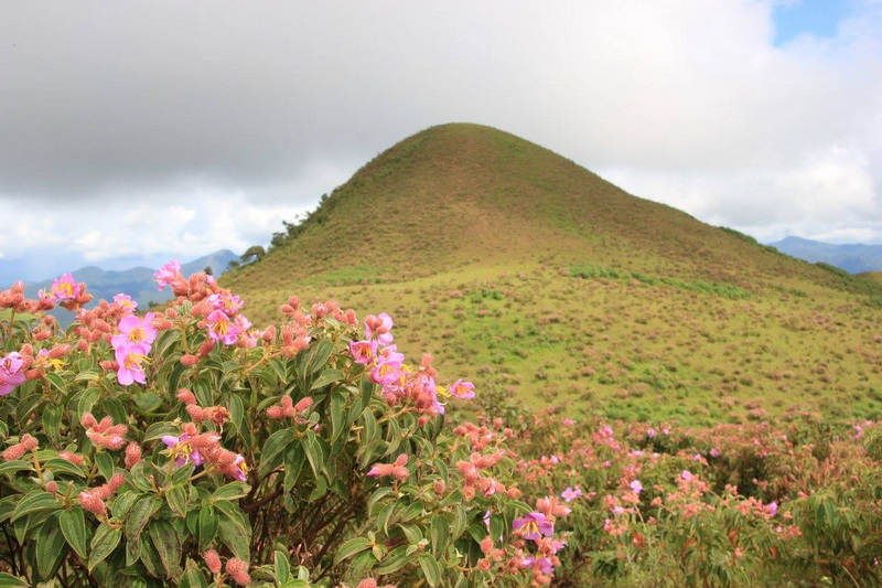 doi pui luamg, namtok mae surin national park, mae surin national park, namtok mae surin, namtok mae surin forest park