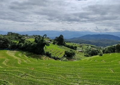 rice terraces ban pa bong piang, ban pa bong piang, mae jam, mae chaem, mae chaem district, mae jam district