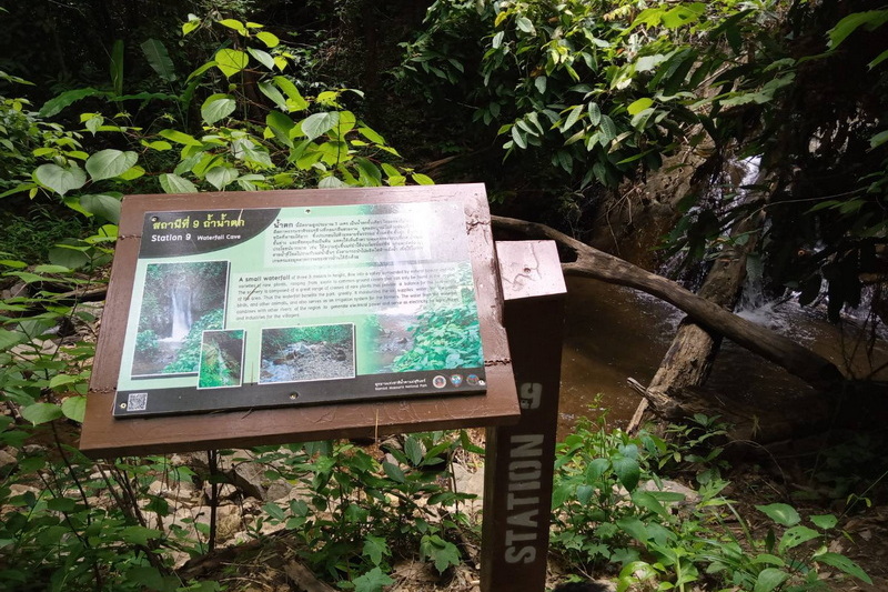 mae sakut nature trail, namtok mae surin national park, mae surin national park, namtok mae surin, namtok mae surin forest park