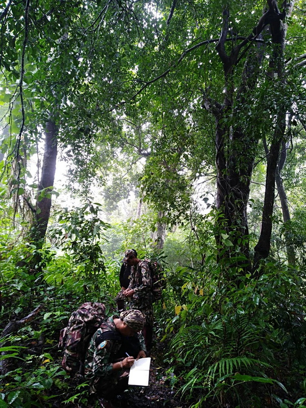 salawin national park, salawin, salawin forest park